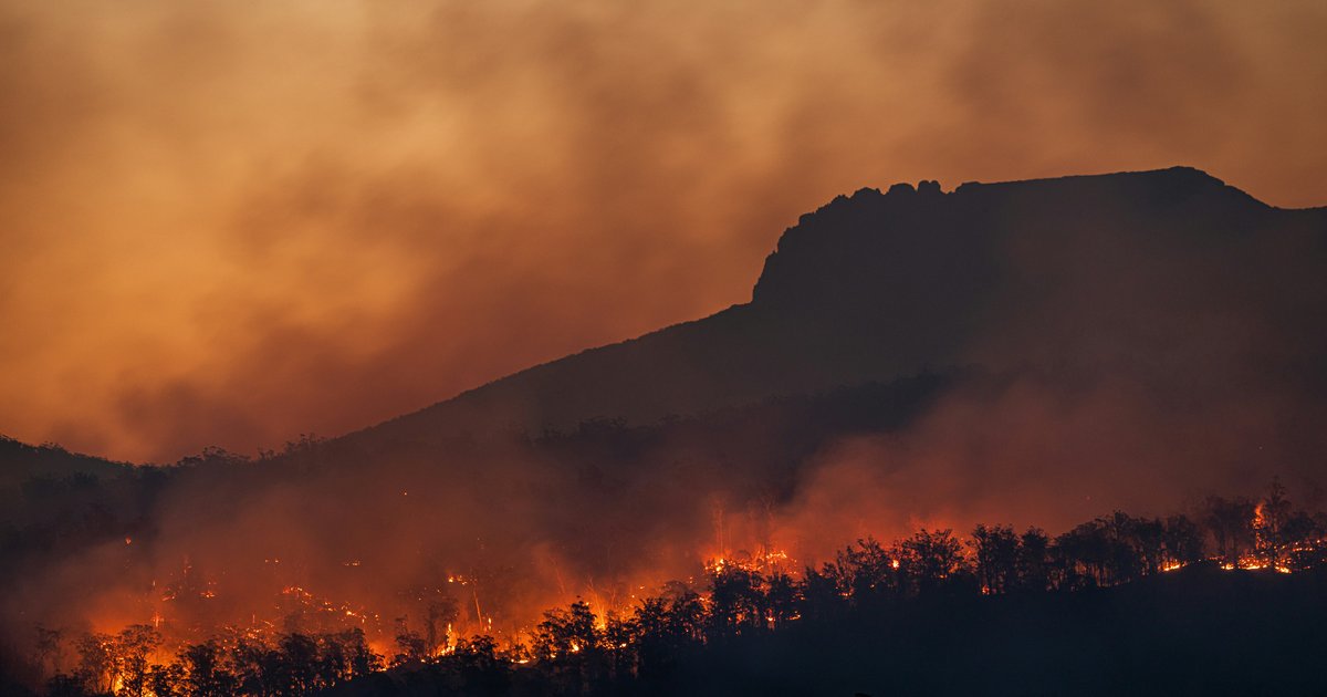 Net zero or real zero?                                            | Climate Action Tracker